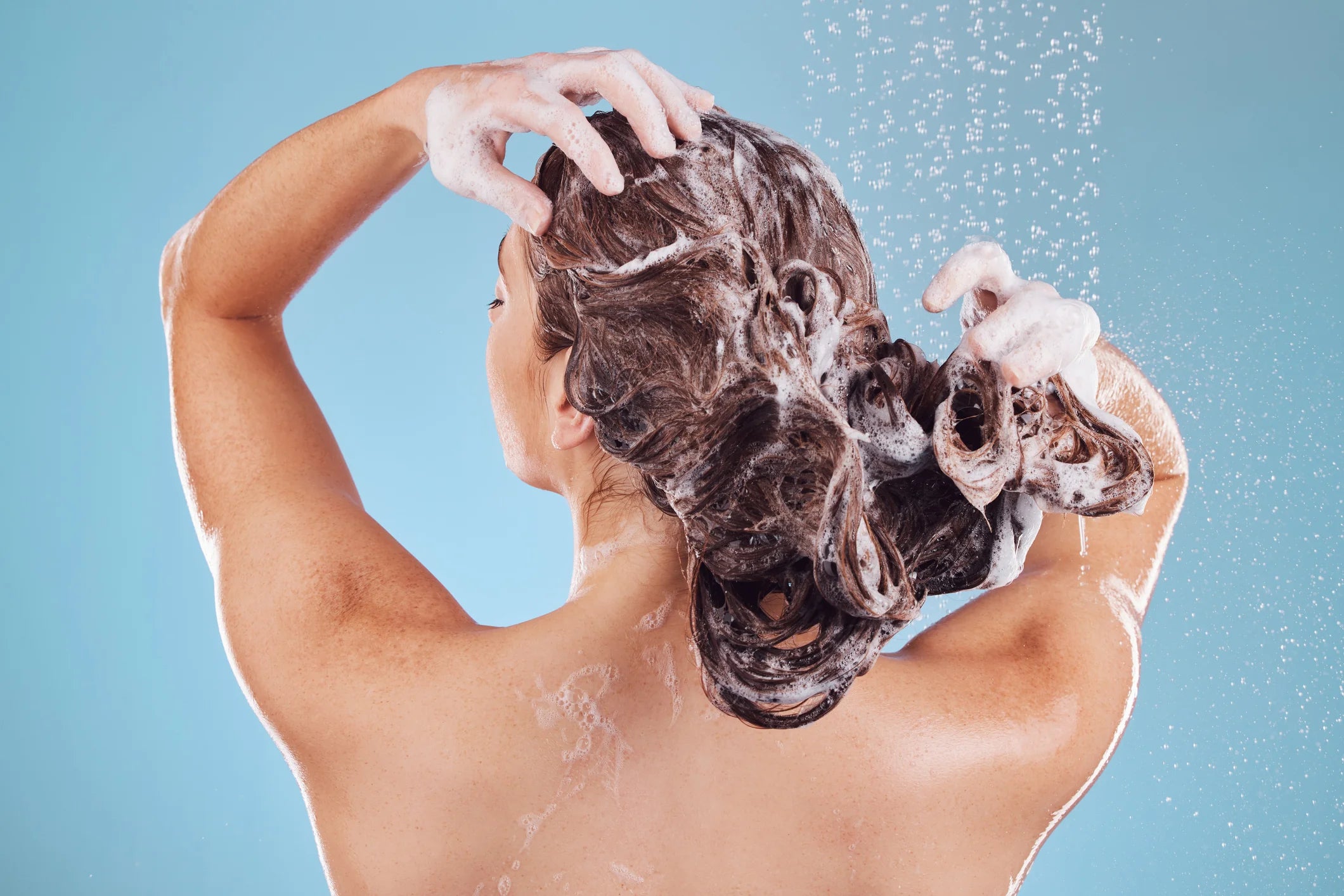 Shampoo