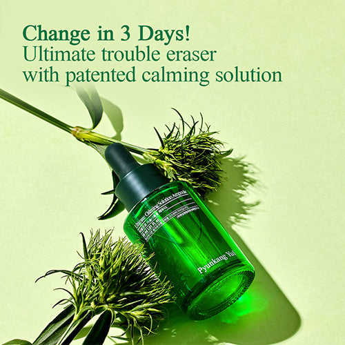 Pyunkang Yul Ultimate Calming Solution Ampulle 30ml – koreanische Hautpflege | Bella Beauty Swiss